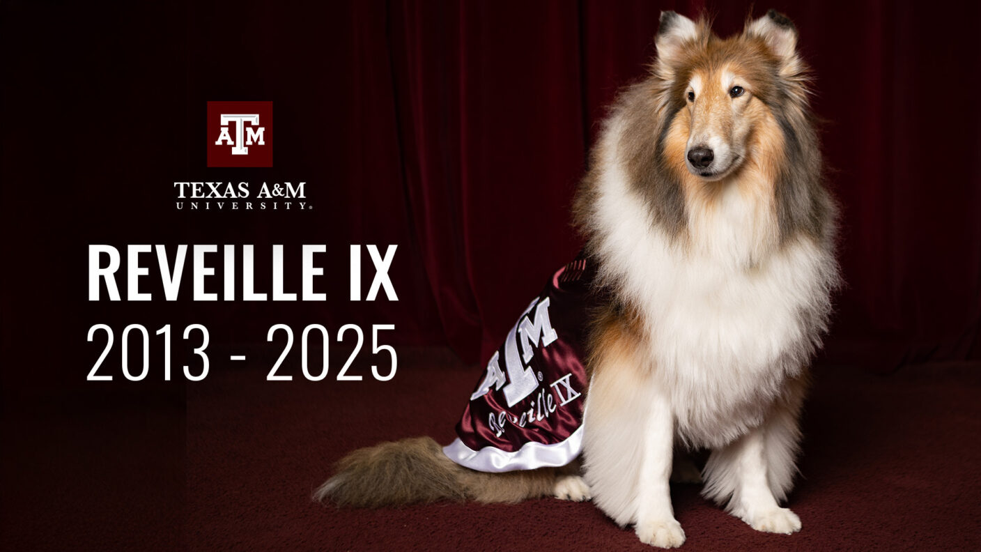 Photo of Miss Rev 9 with the words Reveille IX 2013-2025.
